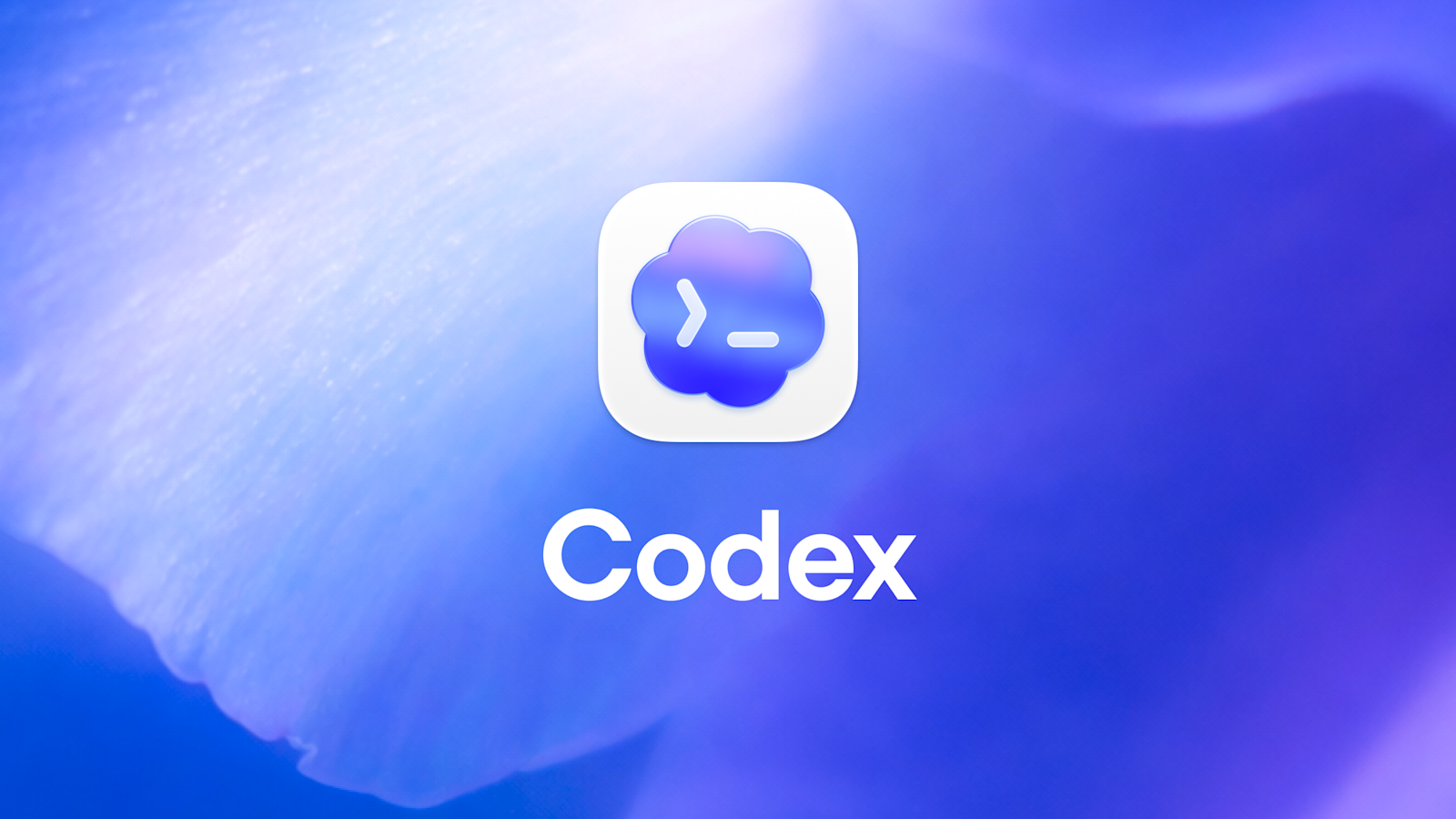 OpenAI Codex